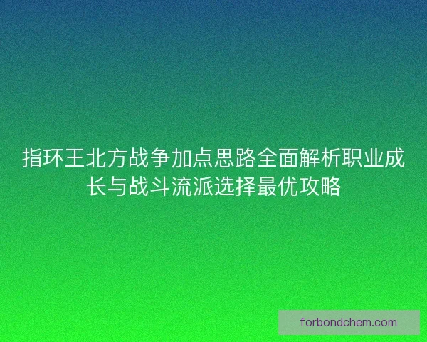 指环王北方战争加点思路全面解析职业成长与战斗流派选择最优攻略